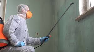 Best Biohazard Mold Removal  in Naples Manor, FL