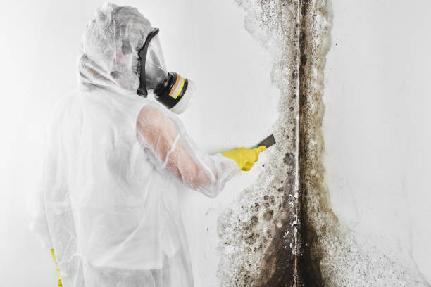 Best Airborne Mold Testing  in Naples Manor, FL