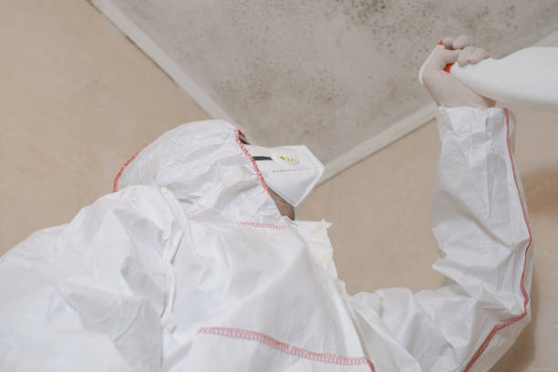 Best Crawl Space Mold Remediation  in Naples Manor, FL