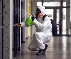 Mold Remediation for Vacation Homes in Naples Manor, FL